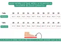 Tabla de tallas de zapatos con medidas. Un pie de 13 cm de pie que talla es, según la tabla, corresponde a la talla 23 con 14,2 cm de plantilla.