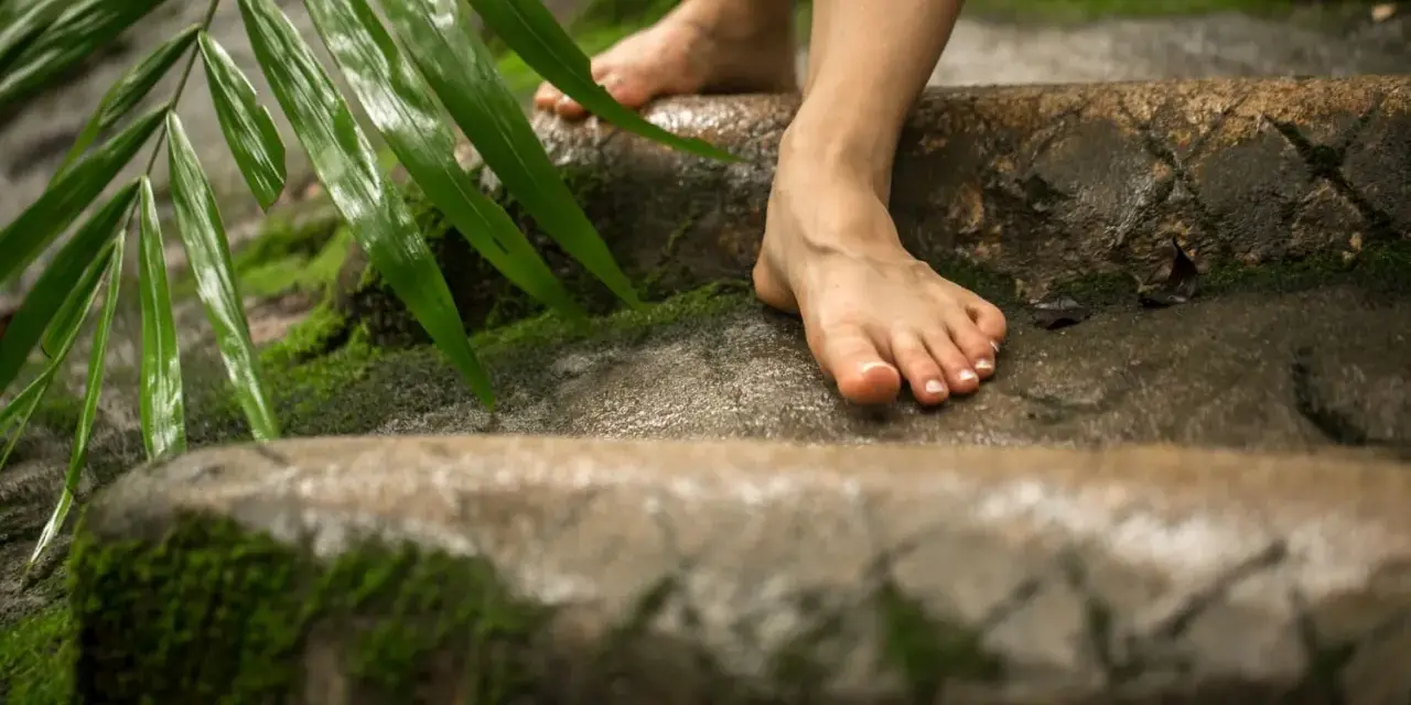 Pies descalzos sobre rocas cubiertas de musgo y hojas verdes. Se siente la conexión con la naturaleza, es bueno andar descalzo.