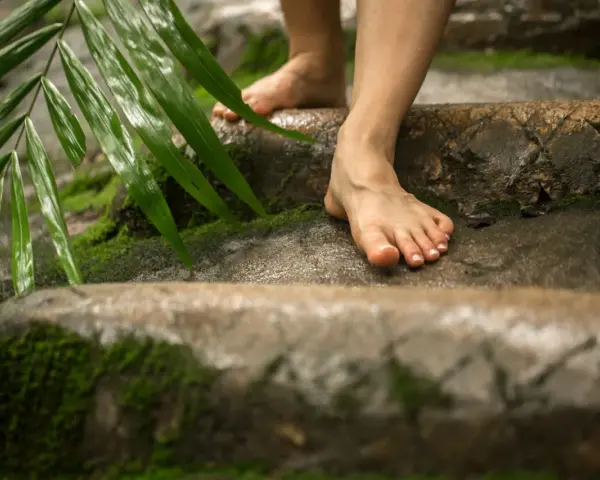 Pies descalzos sobre rocas cubiertas de musgo y hojas verdes. Se siente la conexión con la naturaleza, es bueno andar descalzo.