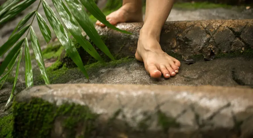 Pies descalzos sobre rocas cubiertas de musgo y hojas verdes. Se siente la conexión con la naturaleza, es bueno andar descalzo.