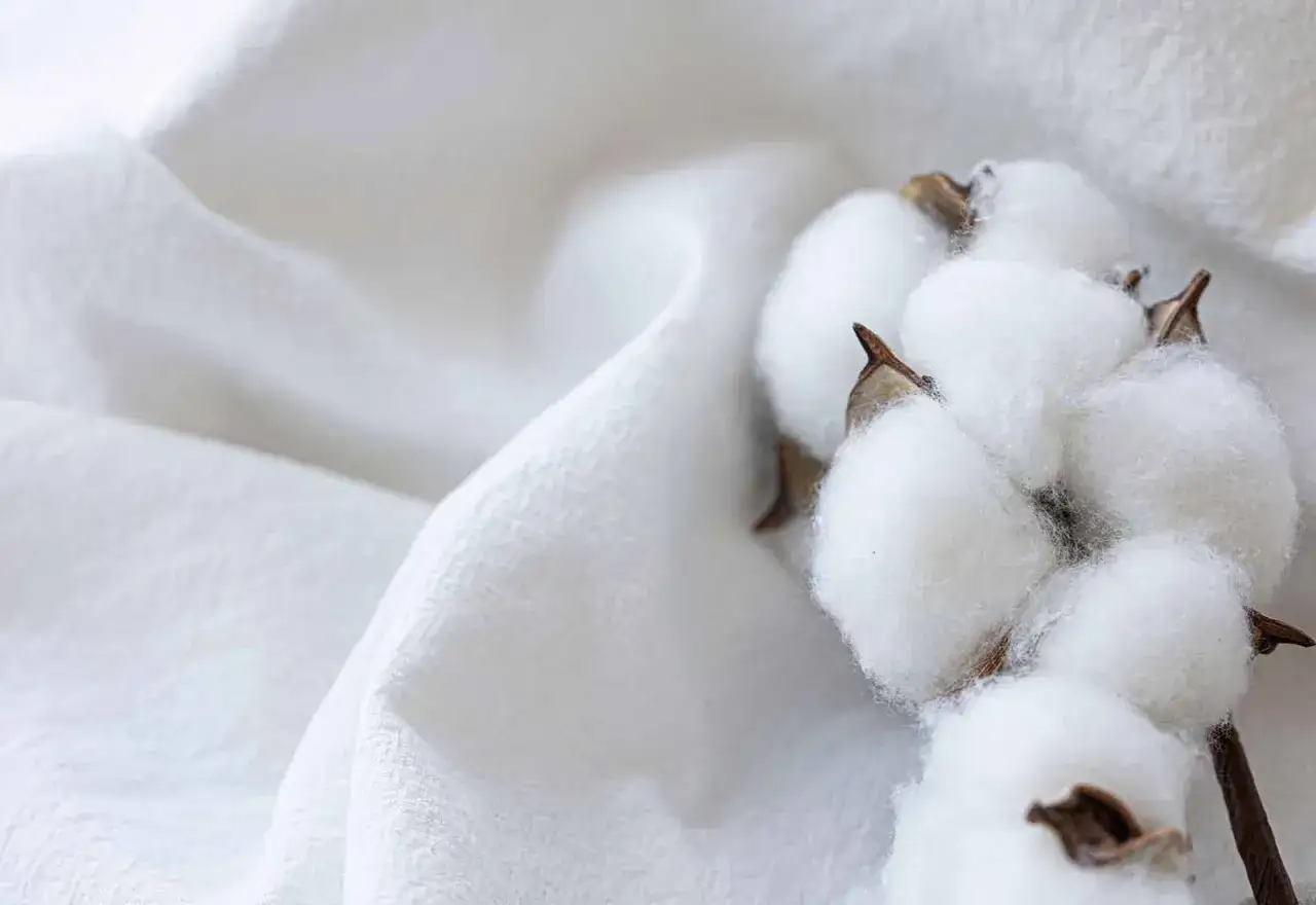 Bolas de algod&oacute;n blanco y suave sobre tela arrugada. El algod&oacute;n es una fibra natural, suave y esponjosa.
